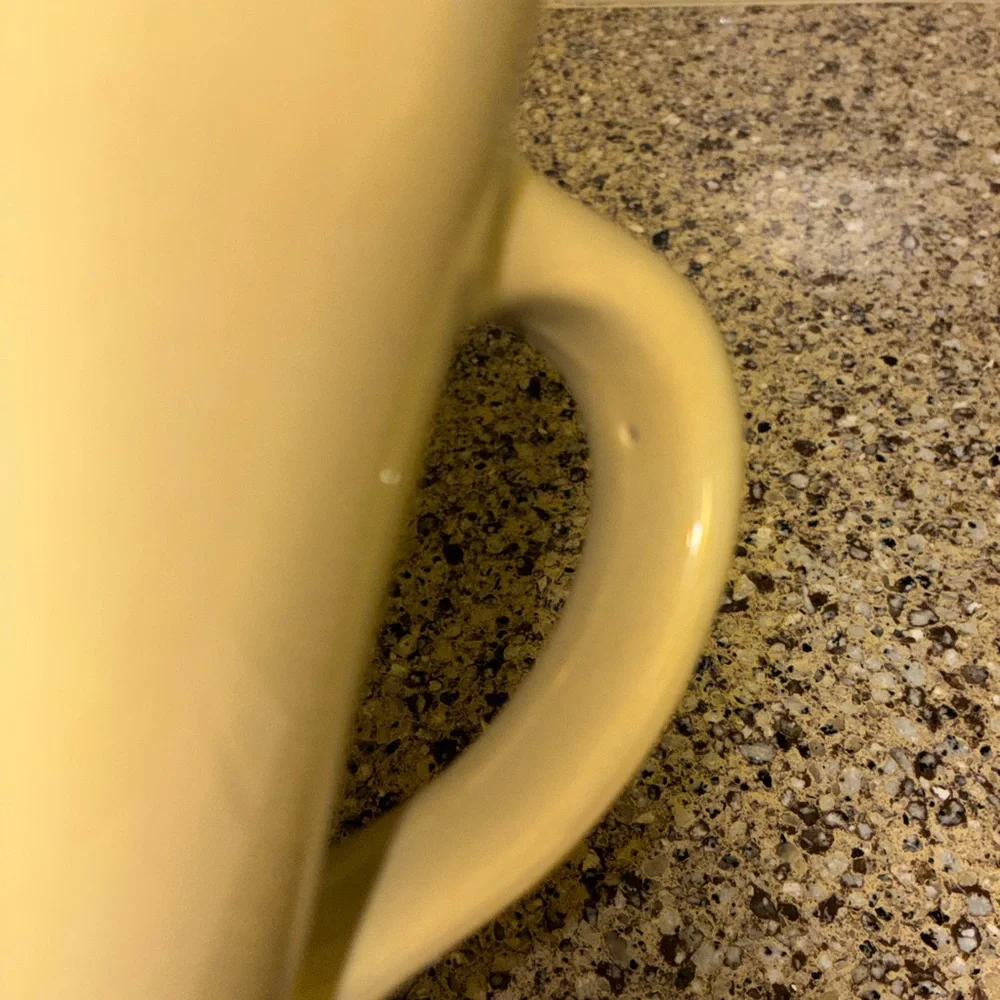 PotteryBarn Studio Ceramic‎ Pitcher Barbara Eiger Tan